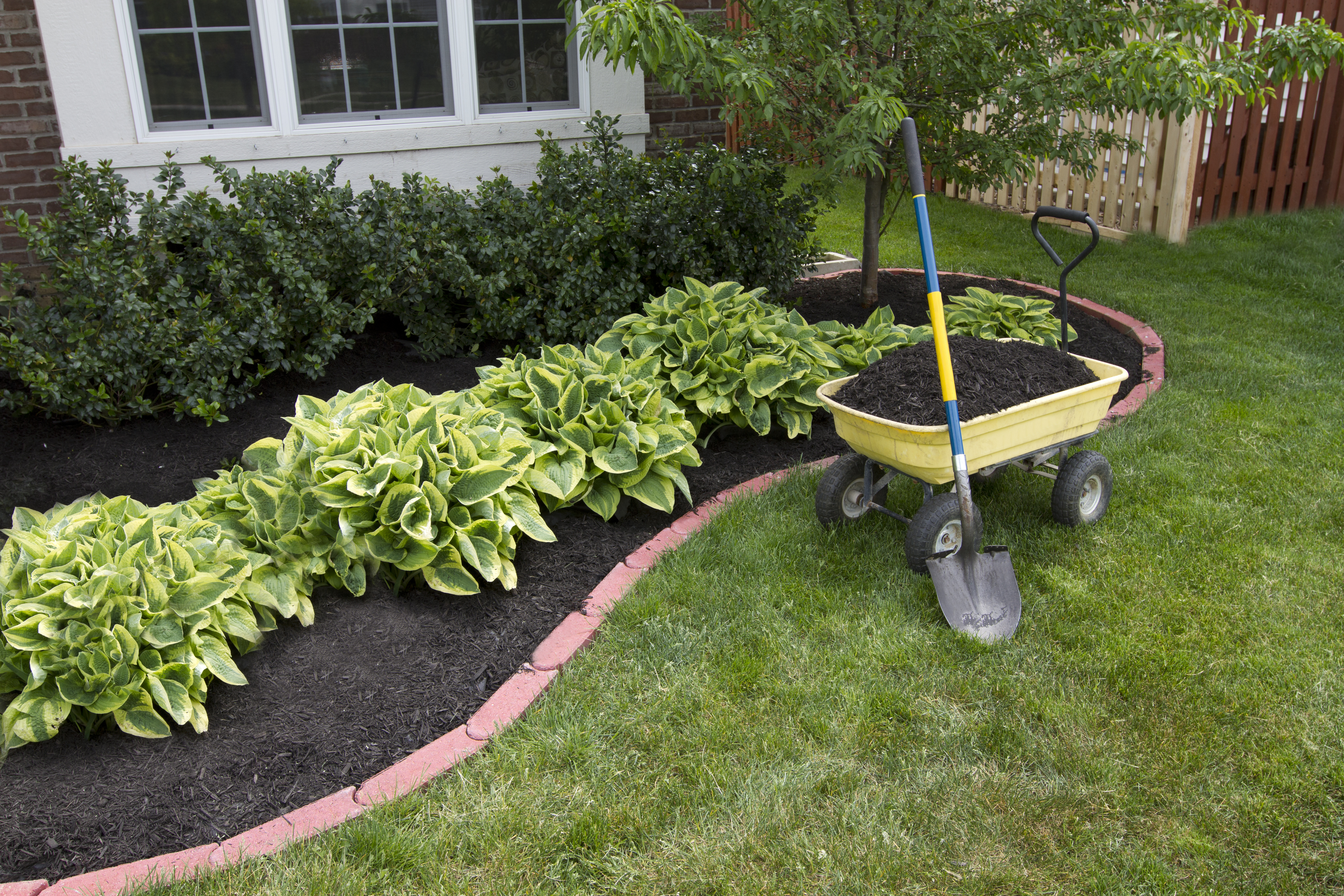 Landscaping Tips For Smaller Spaces Professional Lawn Care And